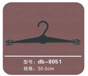 ҹdb-8051